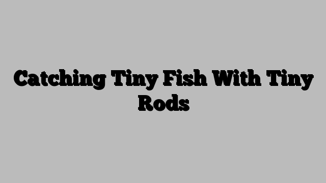 Catching Tiny Fish With Tiny Rods