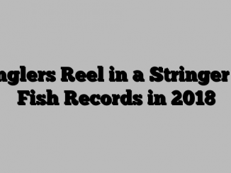 Anglers Reel in a Stringer of Fish Records in 2018