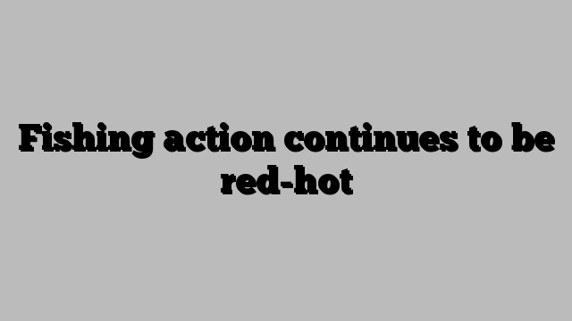 Fishing action continues to be red-hot