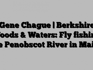 Gene Chague | Berkshire Woods & Waters: Fly fishing the Penobscot River in Maine
