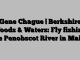 Gene Chague | Berkshire Woods & Waters: Fly fishing the Penobscot River in Maine