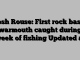 Josh Rouse: First rock bass, warmouth caught during week of fishing Updated at