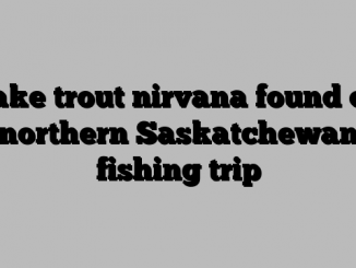 Lake trout nirvana found on northern Saskatchewan fishing trip