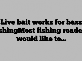 Live bait works for bass fishingMost fishing readers would like to…
