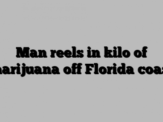 Man reels in kilo of marijuana off Florida coast