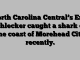 North Carolina Central’s Erik Schlecker caught a shark off the coast of Morehead City recently.