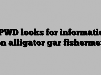 TPWD looks for information on alligator gar fishermen