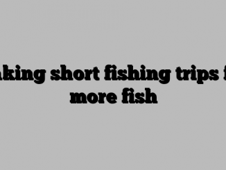 Taking short fishing trips for more fish