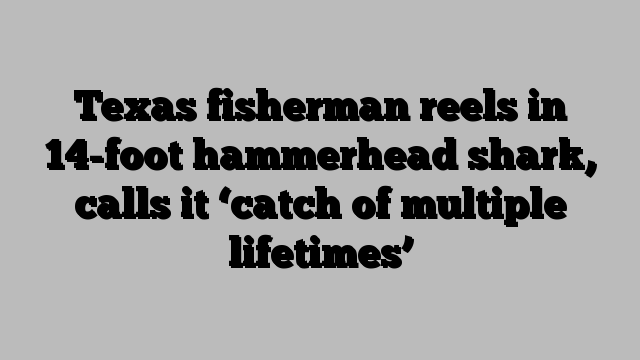 Texas fisherman reels in 14-foot hammerhead shark, calls it ‘catch of multiple lifetimes’