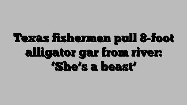 Texas fishermen pull 8-foot alligator gar from river: ‘She’s a beast’