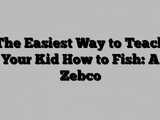 The Easiest Way to Teach Your Kid How to Fish: A Zebco