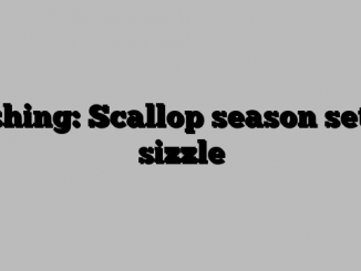 Fishing: Scallop season set to sizzle