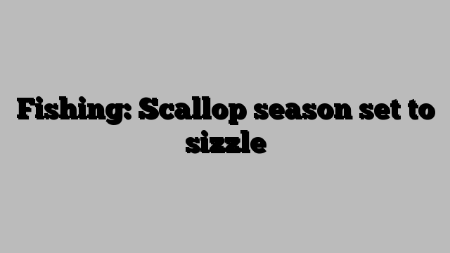 Fishing: Scallop season set to sizzle