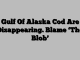 Gulf Of Alaska Cod Are Disappearing. Blame ‘The Blob’