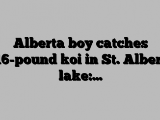 Alberta boy catches 16-pound koi in St. Albert lake:…