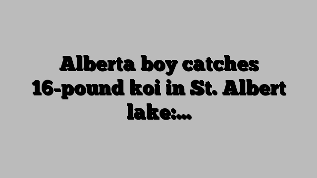 Alberta boy catches 16-pound koi in St. Albert lake:…