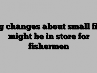 Big changes about small fish might be in store for fishermen