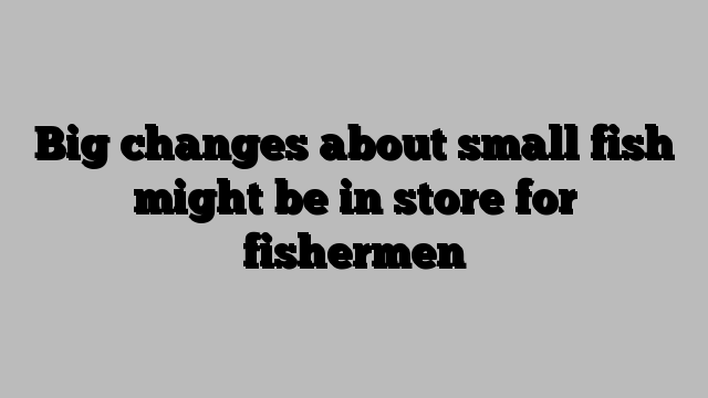 Big changes about small fish might be in store for fishermen