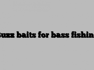 Buzz baits for bass fishing