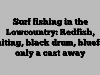 Surf fishing in the Lowcountry: Redfish, whiting, black drum, bluefish only a cast away