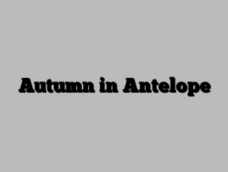 Autumn in Antelope