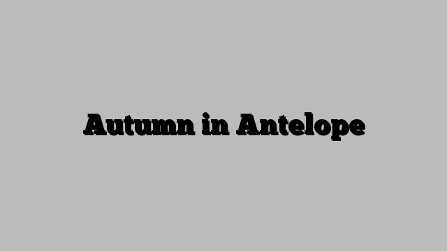 Autumn in Antelope
