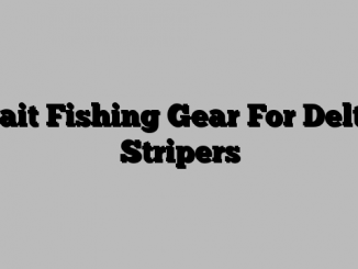 Bait Fishing Gear For Delta Stripers