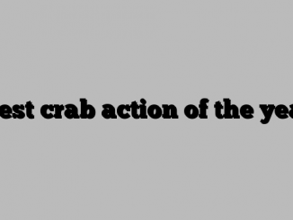 ‘Best crab action of the year’
