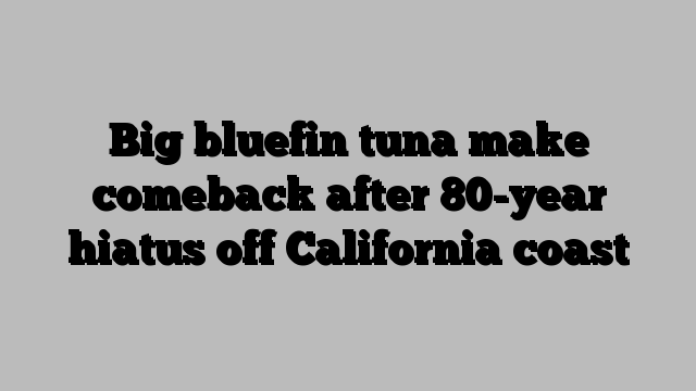 Big bluefin tuna make comeback after 80-year hiatus off California coast