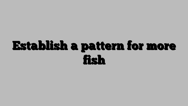 Establish a pattern for more fish
