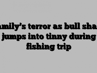 Family’s terror as bull shark jumps into tinny during fishing trip
