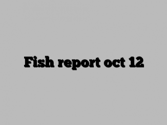 Fish report oct 12