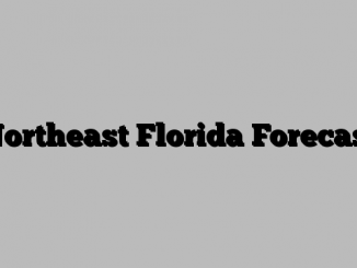 Northeast Florida Forecast