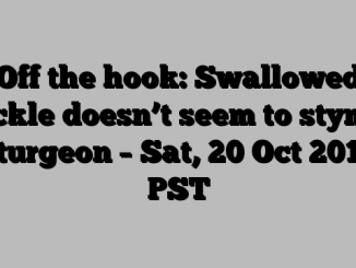 Off the hook: Swallowed tackle doesn’t seem to stymie sturgeon – Sat, 20 Oct 2018 PST