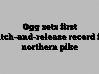 Ogg sets first catch-and-release record for northern pike