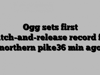 Ogg sets first catch-and-release record for northern pike36 min ago