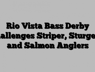 Rio Vista Bass Derby Challenges Striper, Sturgeon and Salmon Anglers