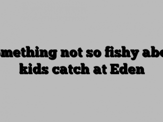 Something not so fishy about kids catch at Eden