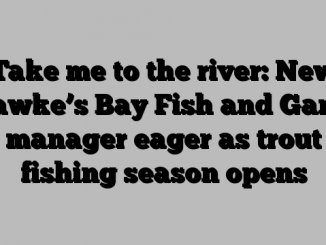 Take me to the river: New Hawke’s Bay Fish and Game manager eager as trout fishing season opens
