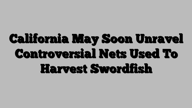 California May Soon Unravel Controversial Nets Used To Harvest Swordfish