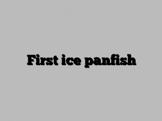 First ice panfish