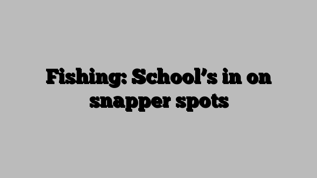 Fishing: School’s in on snapper spots