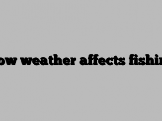How weather affects fishing