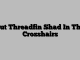 Put Threadfin Shad In The Crosshairs