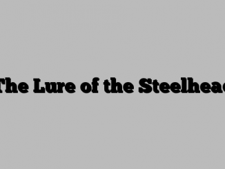 The Lure of the Steelhead