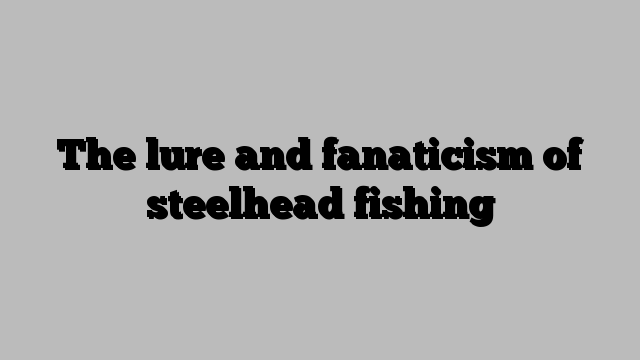The lure and fanaticism of steelhead fishing