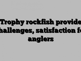 Trophy rockfish provide challenges, satisfaction for anglers