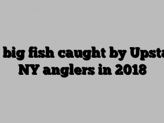 50 big fish caught by Upstate NY anglers in 2018