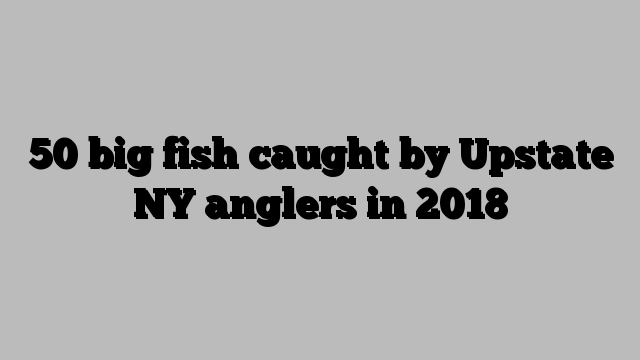 50 big fish caught by Upstate NY anglers in 2018