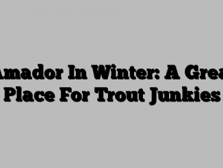 Amador In Winter: A Great Place For Trout Junkies